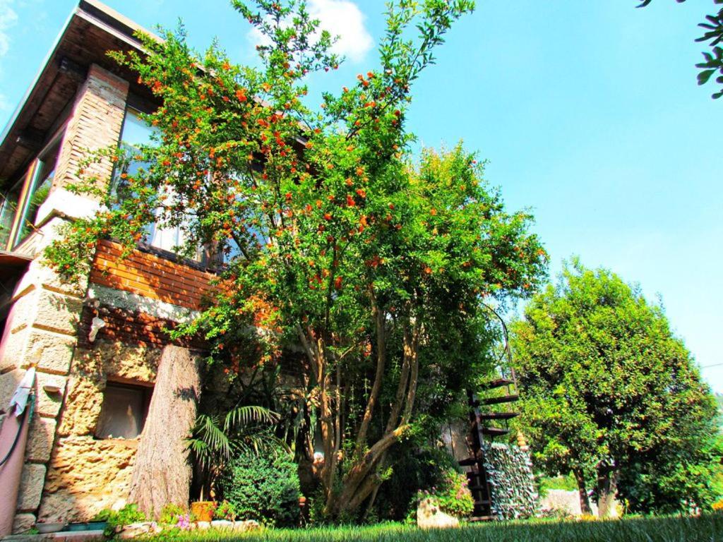 B&B La Piccionaia Βερόνα Εξωτερικό φωτογραφία